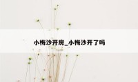 小梅沙开房_小梅沙开了吗