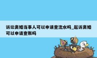 诉讼离婚当事人可以申请查流水吗_起诉离婚可以申请查账吗