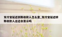 支付宝延迟到账收款人怎么查_支付宝延迟转账收款人这边会显示吗