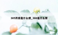 305开房是什么梗_308是什么梗