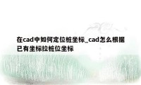 在cad中如何定位桩坐标_cad怎么根据已有坐标拉桩位坐标