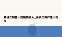 金税三期查小规模纳税人_金税三期严查小规模