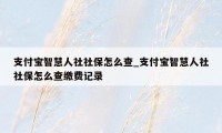 支付宝智慧人社社保怎么查_支付宝智慧人社社保怎么查缴费记录