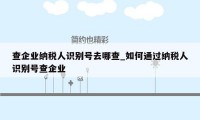 查企业纳税人识别号去哪查_如何通过纳税人识别号查企业