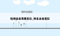 检测企业发展定位_知名企业定位