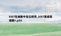 ki67在细胞中定位研究_ki67基底层细胞+,p16