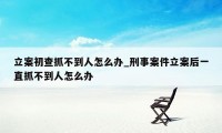 立案初查抓不到人怎么办_刑事案件立案后一直抓不到人怎么办