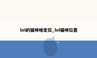 lol的猫咪啥定位_lol猫咪位置